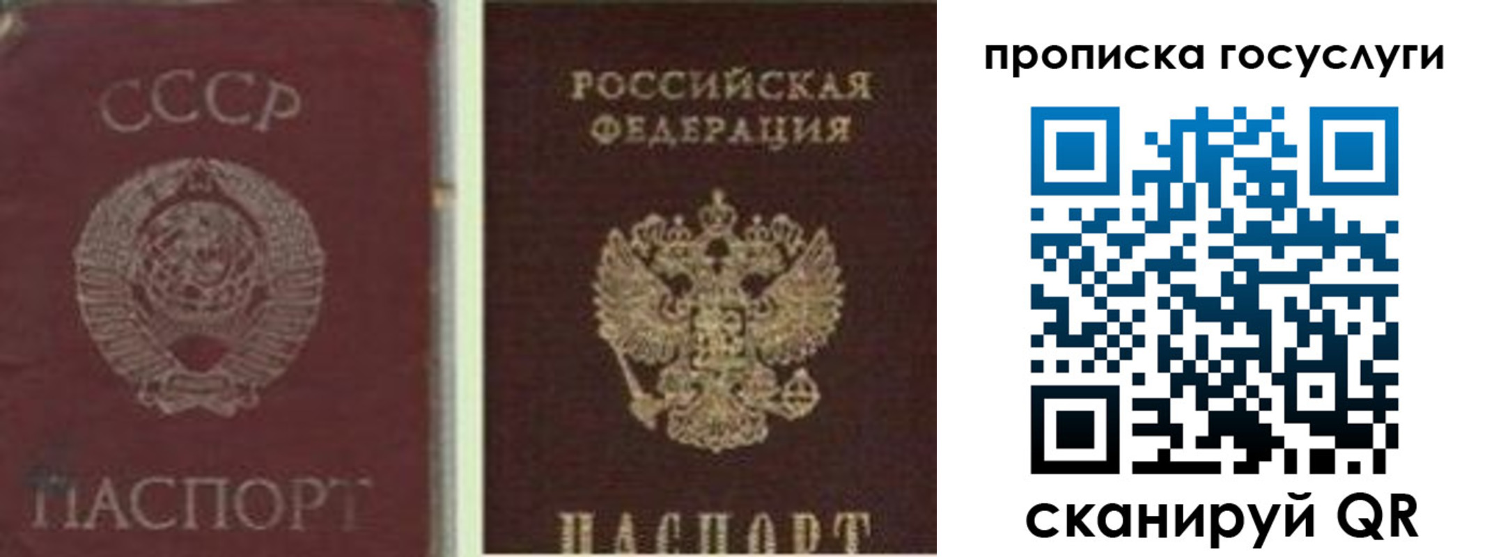 временная регистрация 2025 в Рубцовске